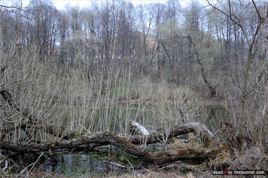 усадьба Городня
