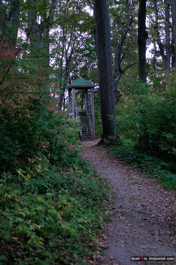 усадьба Ясная Поляна