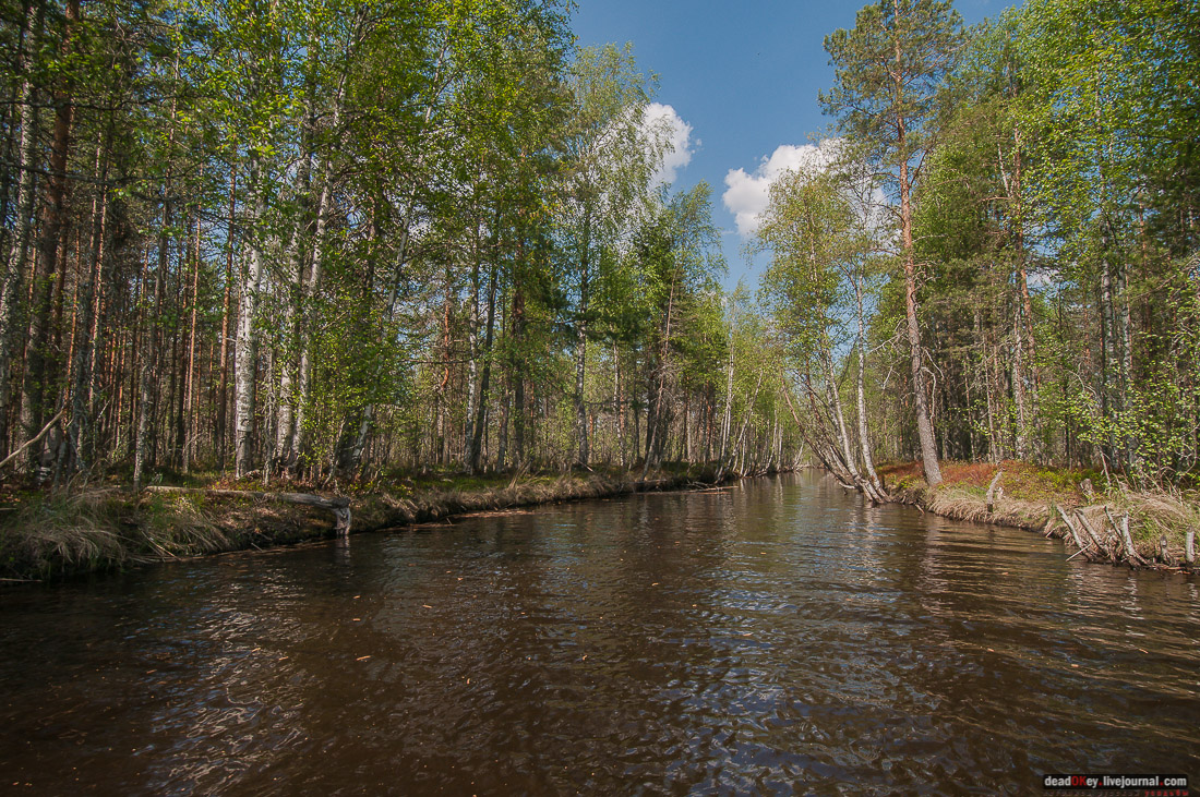 Россия, Карелия, Кондопожский район, Вендеры, Сяпчозеро, Спасская Губа