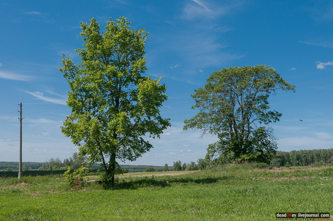 усадьба Мещерино
