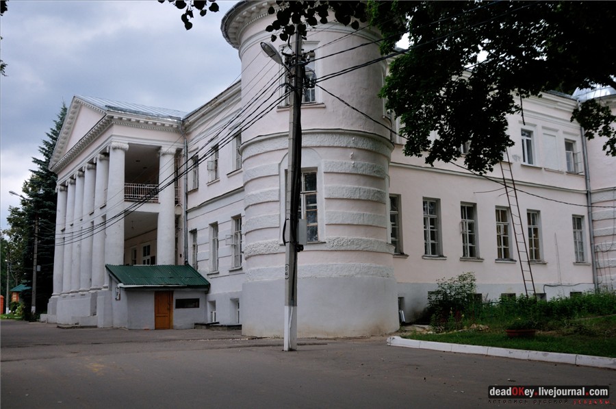 Ионический ордер в усадьбах