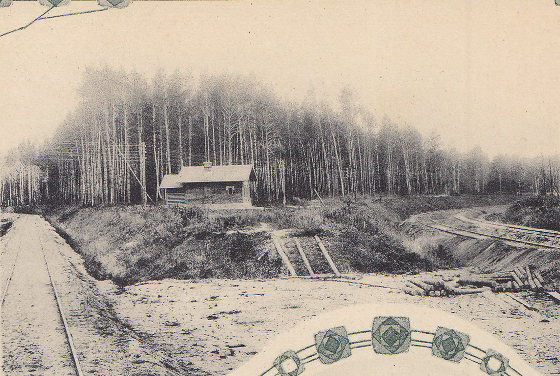 МКЖД. Возвращение истории. Станция АНДРОНОВКА