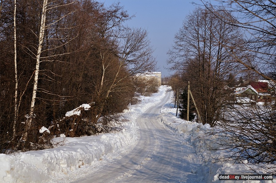 усадьба Костино Сабашниковых