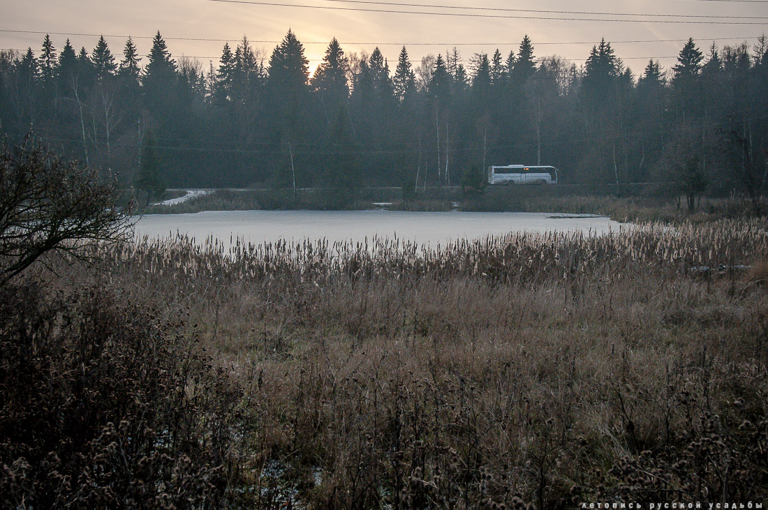 усадьба Синево, Истринский район