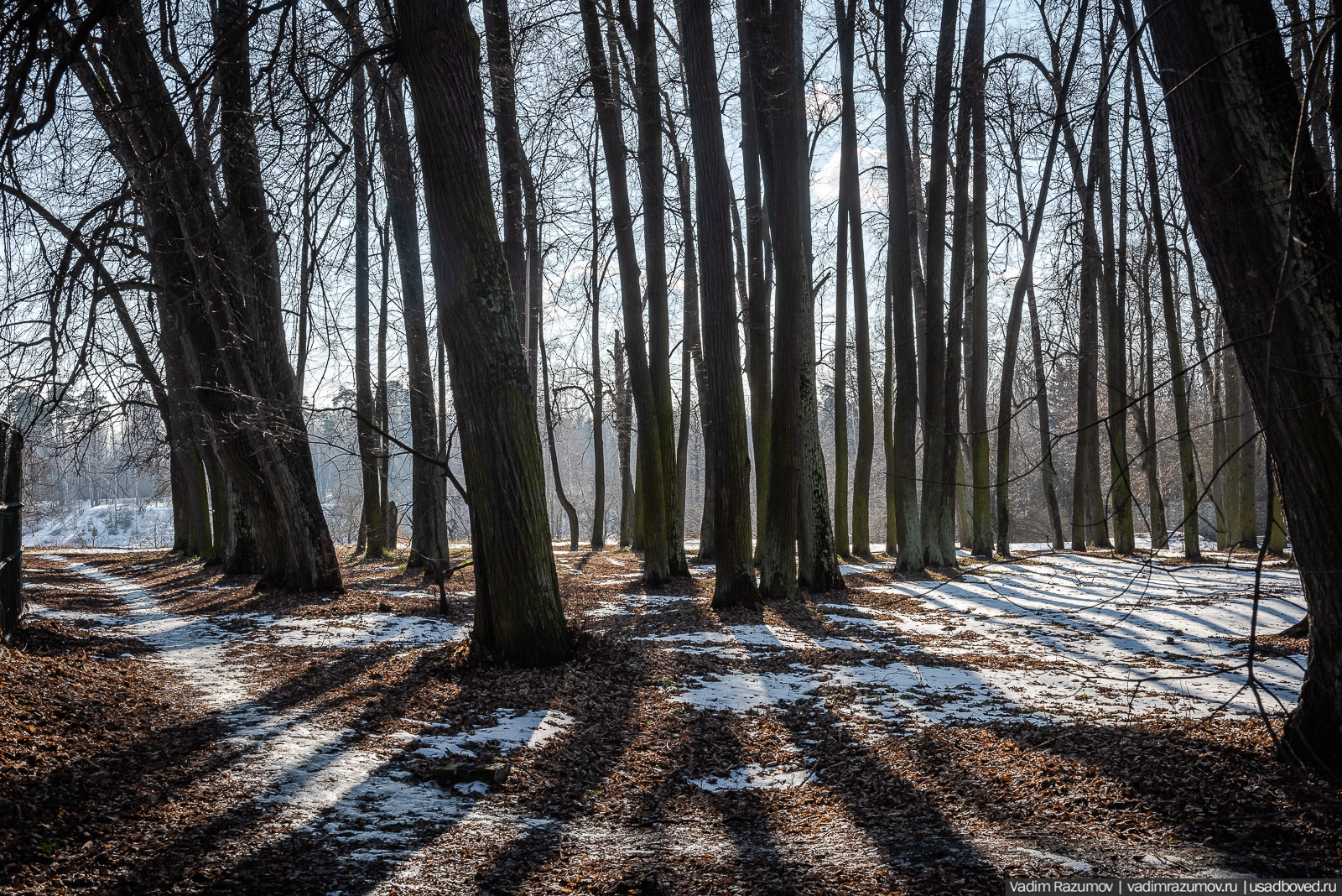 усадьба Гребнево, 2020 год, Андрей Ковалев, реставрация усадьбы