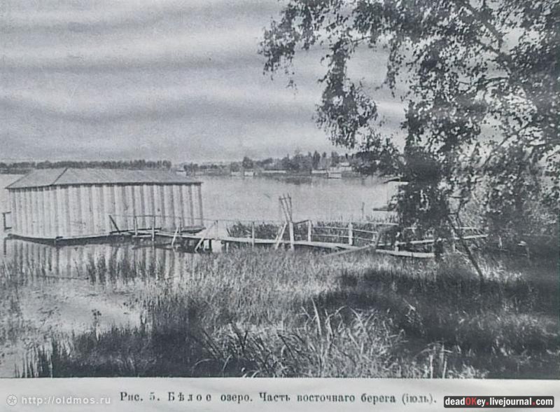 усадьба Косино