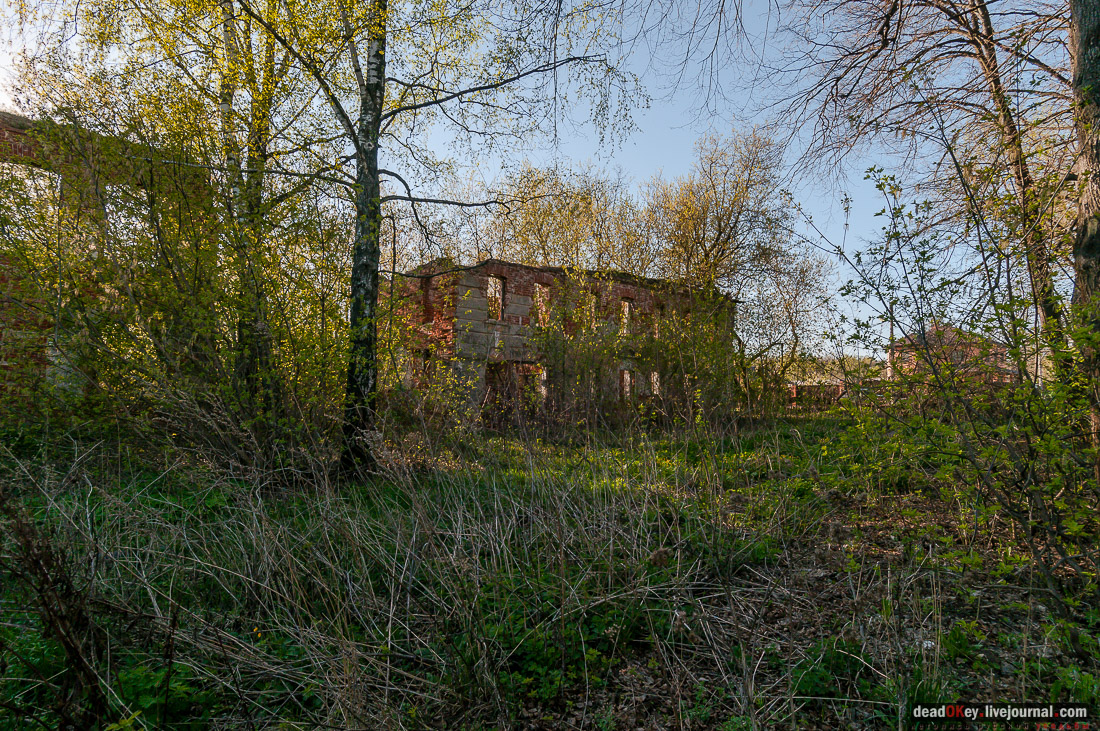 усадьба Зендиково