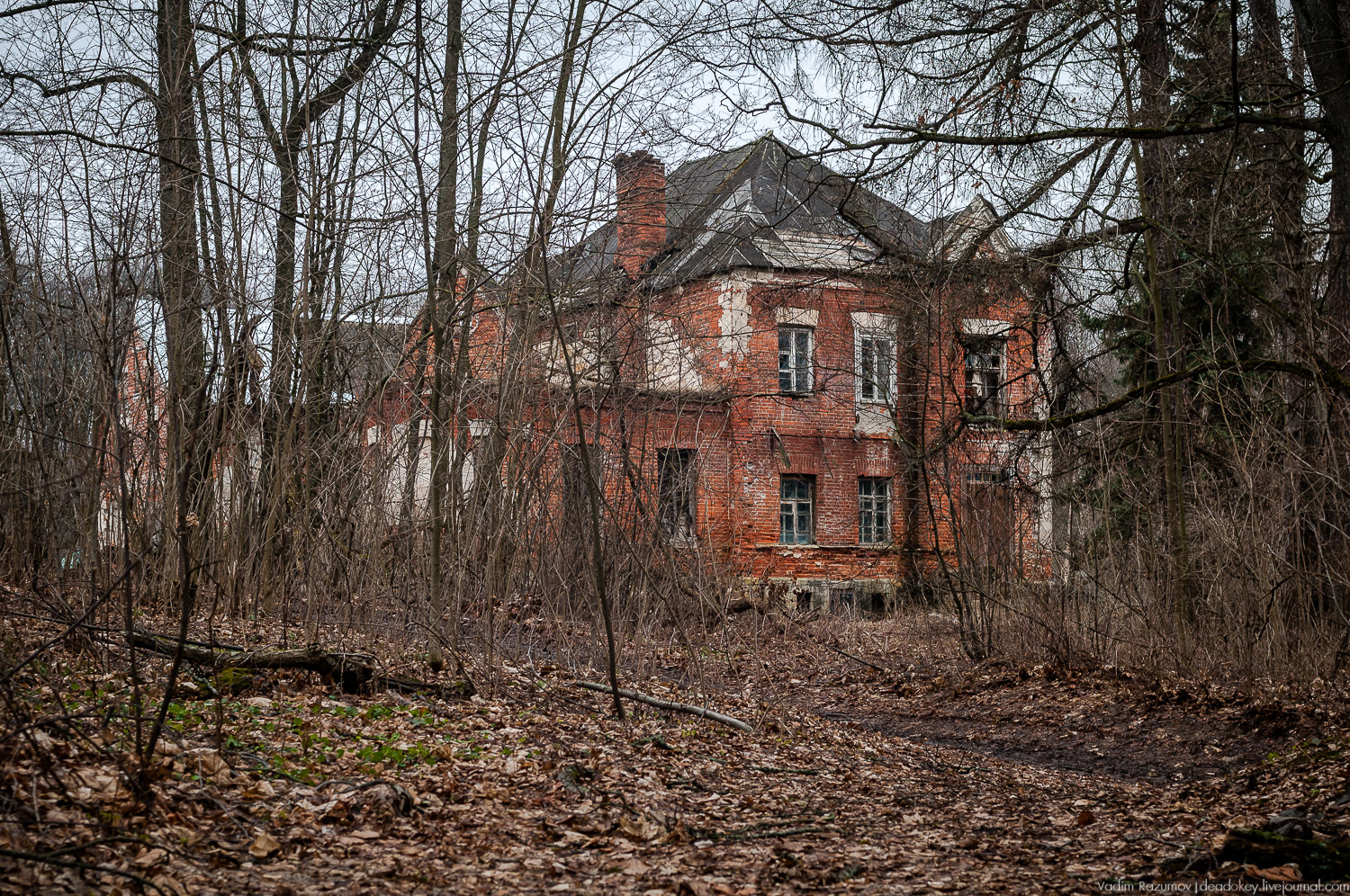 Усадьба Сенницы