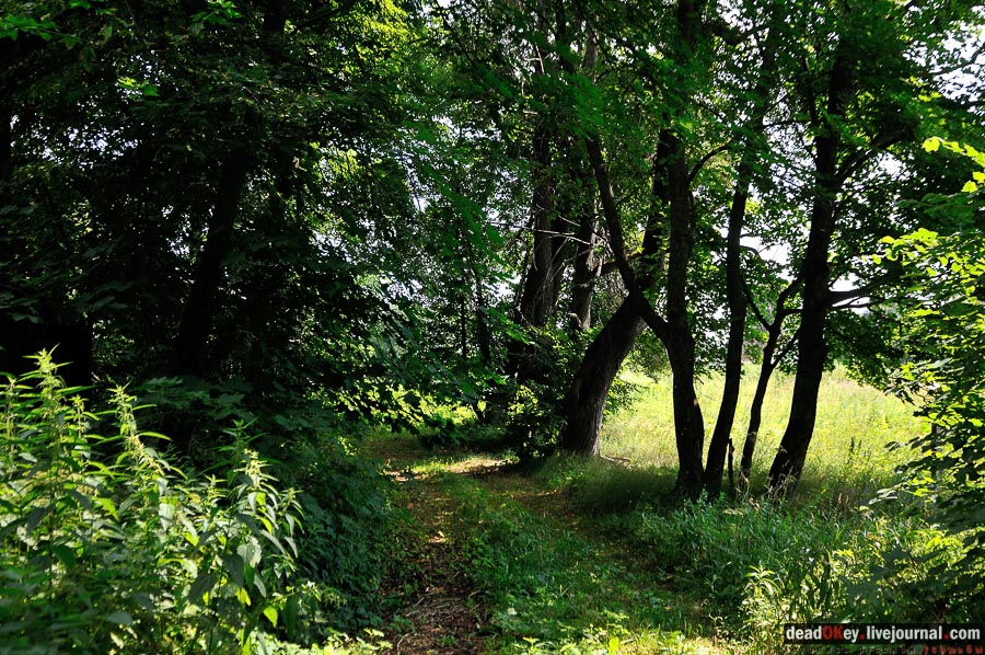 усадьба Городна