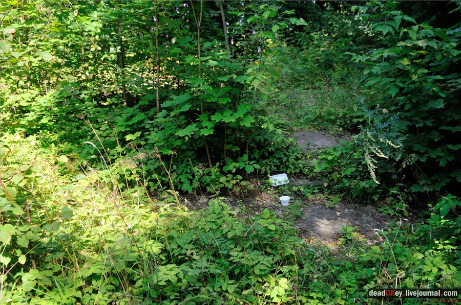 усадьба Никольское-Тимонино