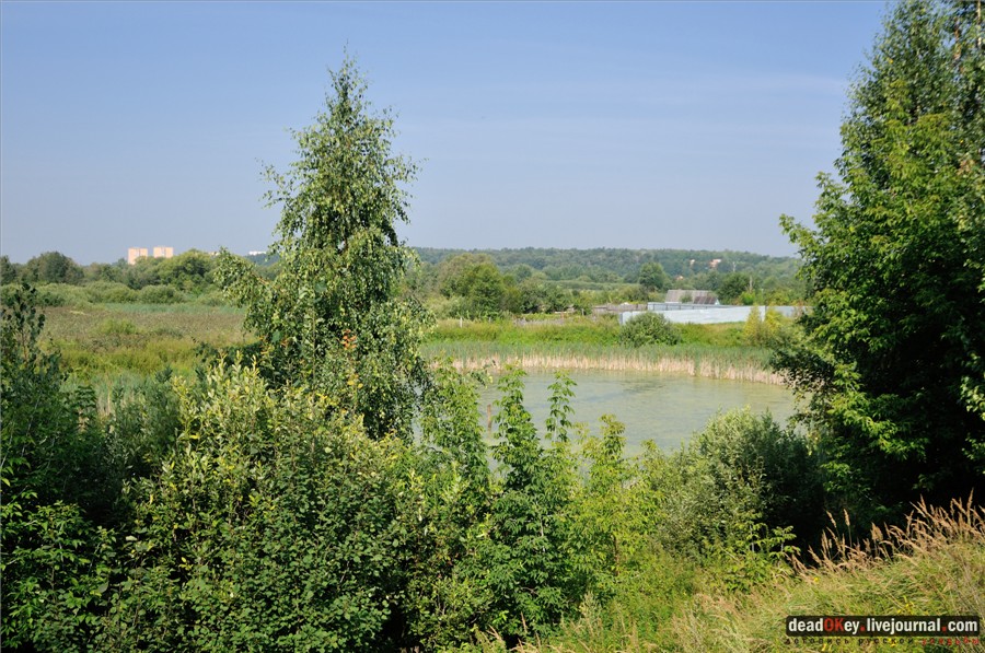 усадьба Городищи (