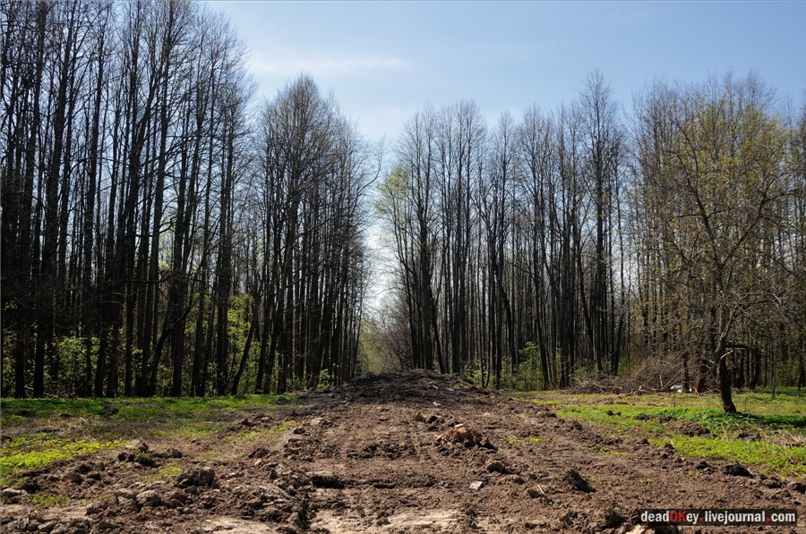усадьба Андреевское-Туркино (Перематкино)