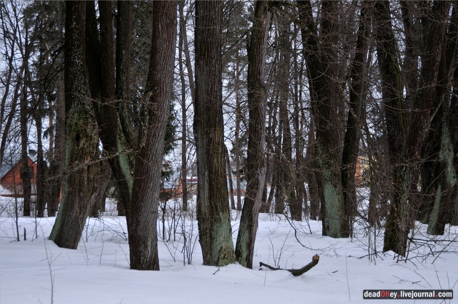 усадьба Ельдигино