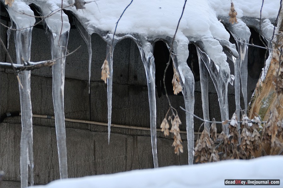 усадьба Люберцы