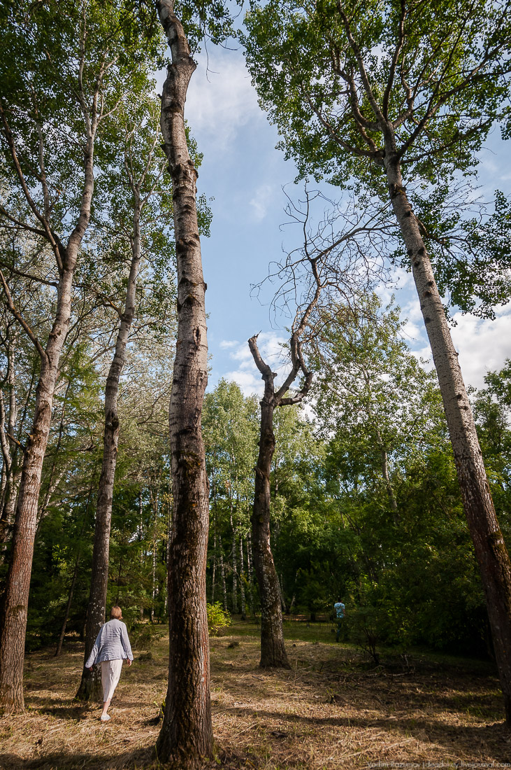 усадьба Барсуково