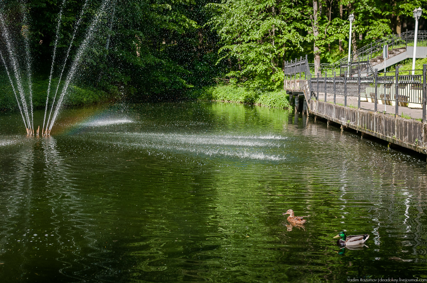 усадьба Валуево в мае