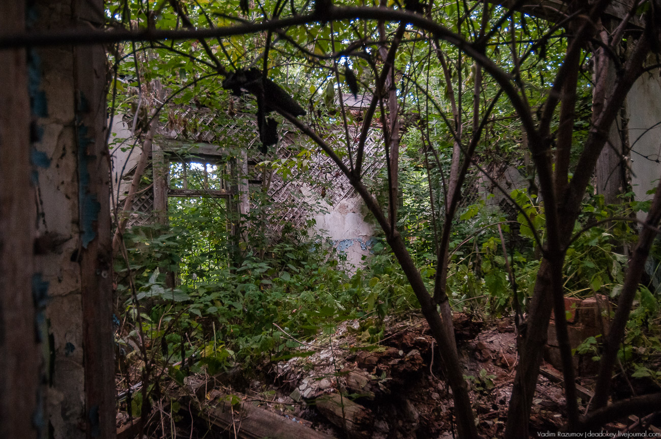 усадьба Липовка