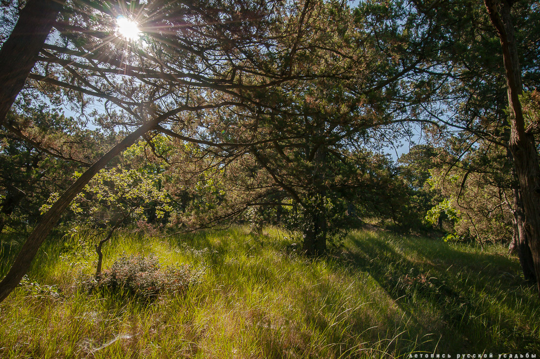 Харакс, Крым, санаторий Днепр