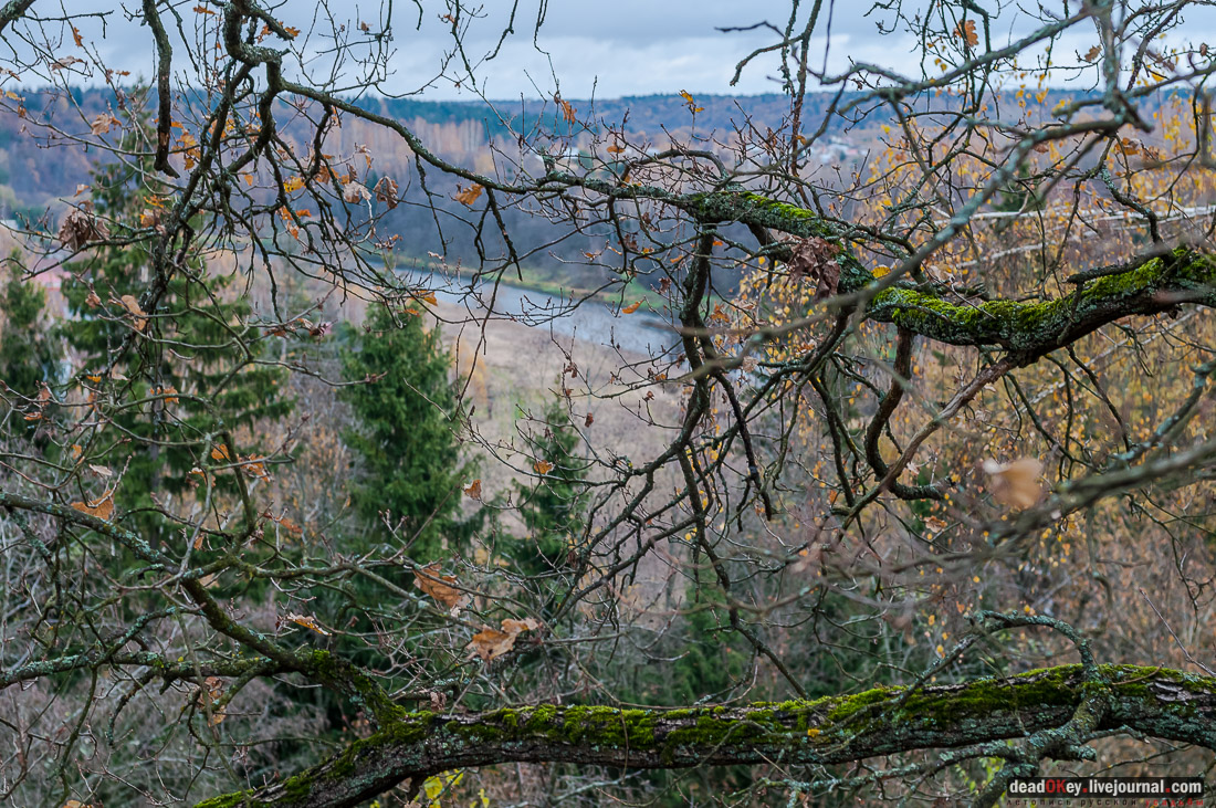 Усадьба Любвино