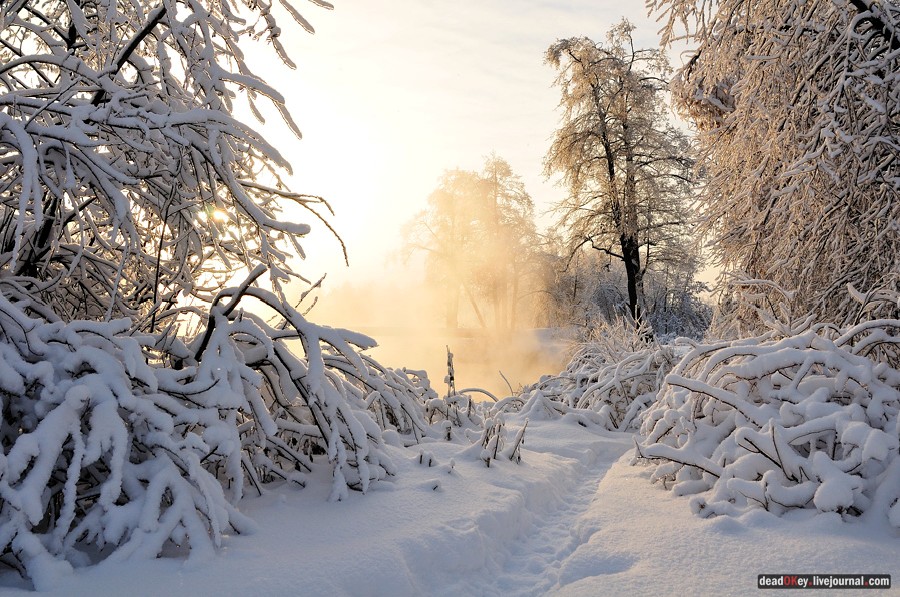 усадьба Красково