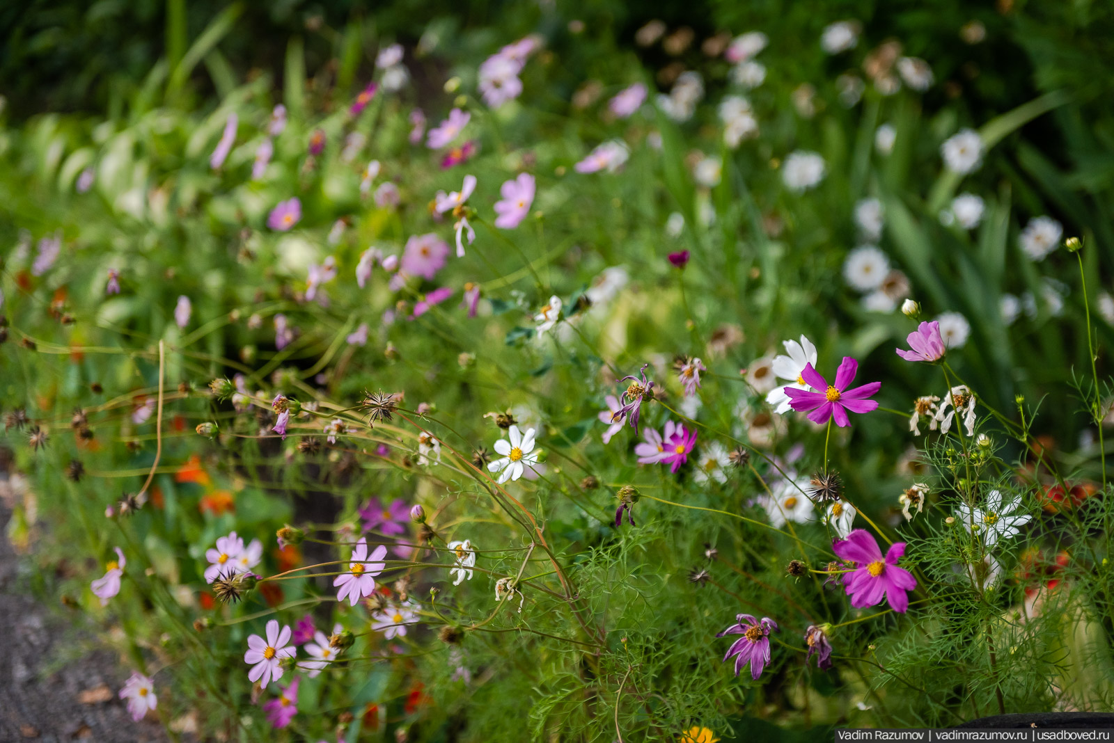 Богородицк, сад во дворце