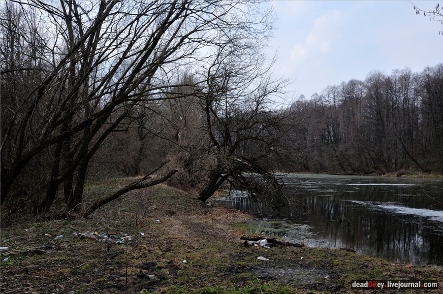 усадьба Городня