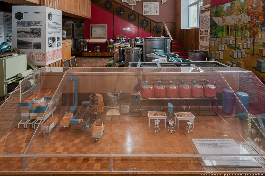 Усадебный экспресс в Константиново