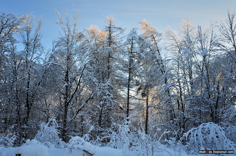 усадьба Полушкино