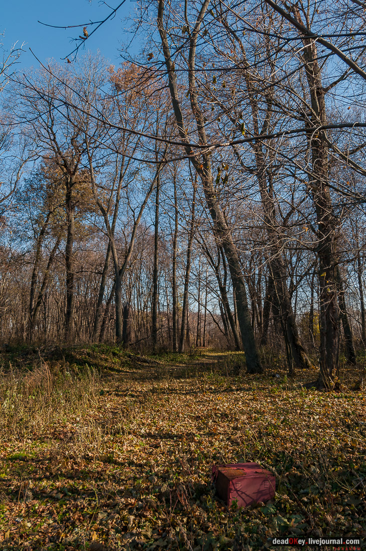 усадьба Полибино
