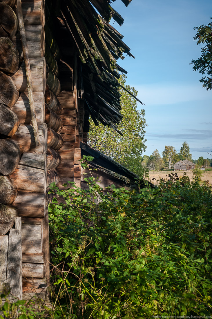 дер. Кучепалда, Архангельская обл.