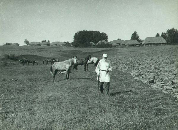 усадьба Ясная Поляна