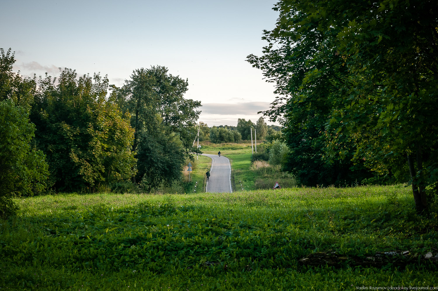 усадьба Даровое, Зарайский район, Ф.М. Достоевский