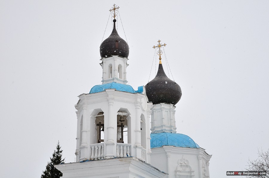 усадьба Кривцы