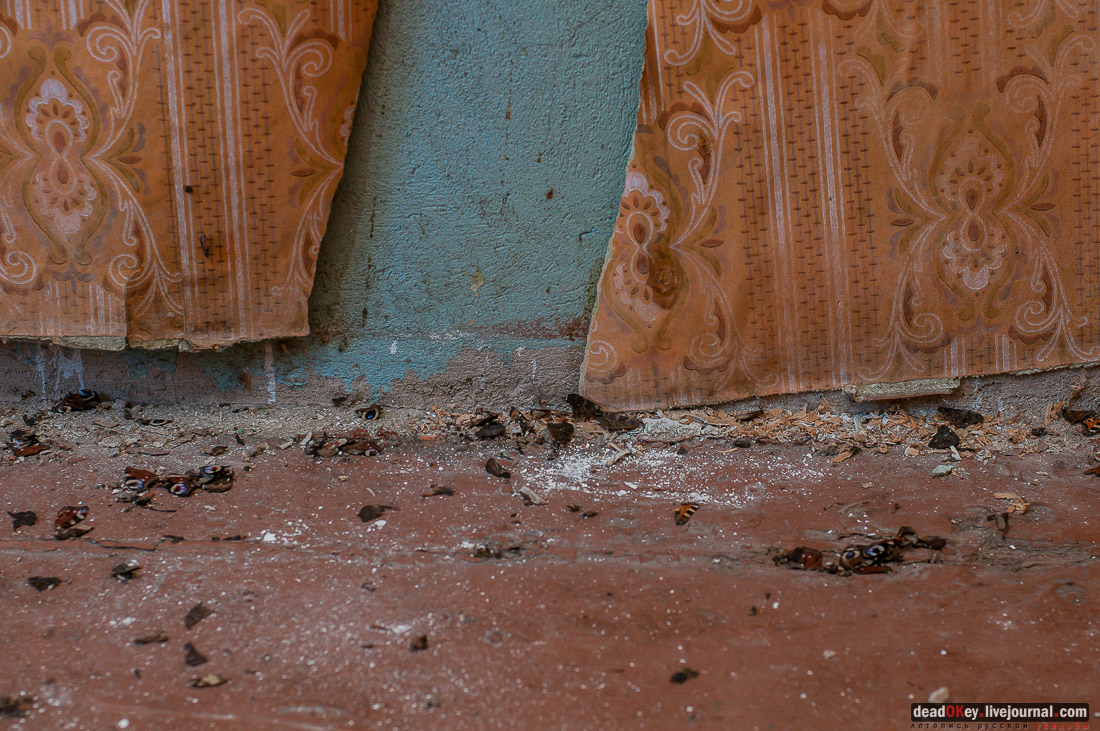 усадьба Ивановское-Козловское