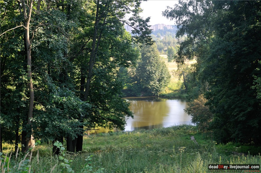 усадьба Райки