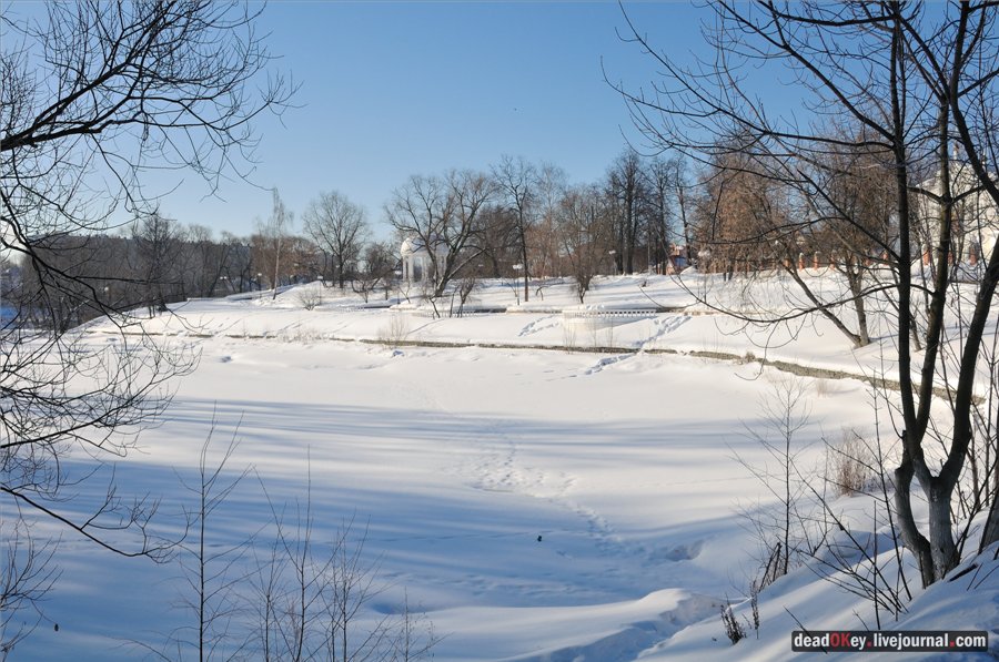 усадьба Котово-Спасское