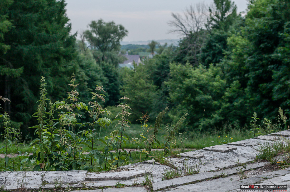 усадьба Быково, пресс-релиз встречи волонтеров