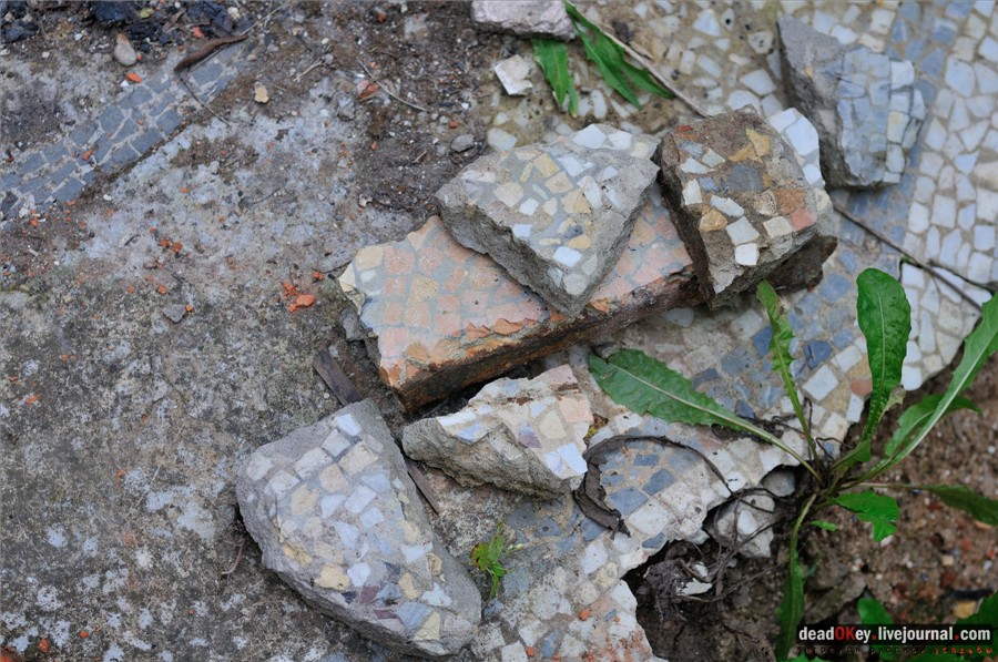 усадьба Глинки Якова Брюса (пансионат Монино)