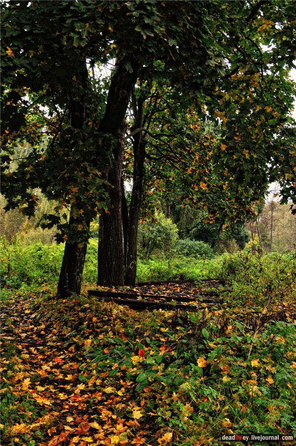 усадьба Ляхово