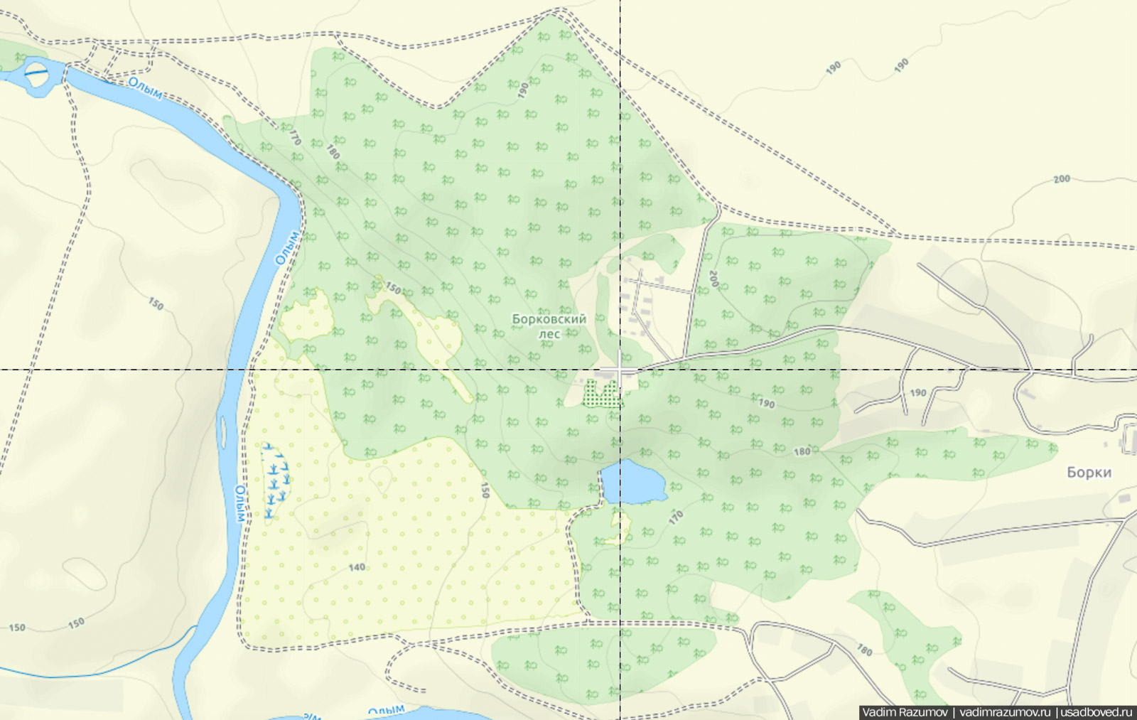 усадьба Борки, Липецкая область