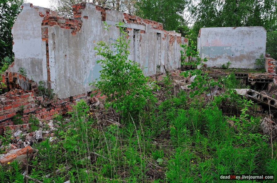 усадьба Спасское