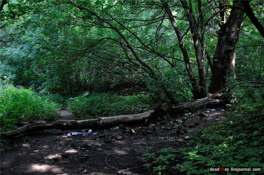 усадьба Ивановское (г. Подольск)
