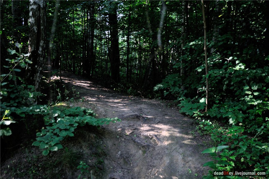 усадьба Долгое Ледово