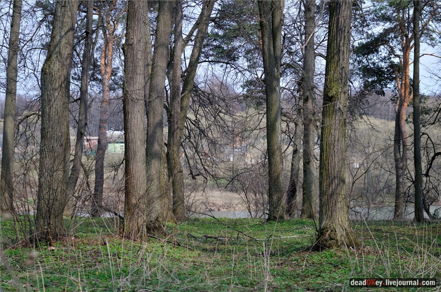 усадьба Грабцево
