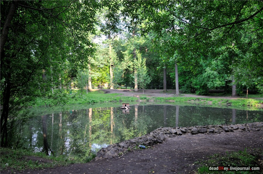 усадьба Грачевка (Ховрино)