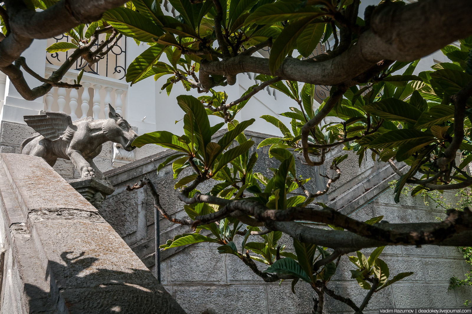 Ливадийский дворец, Крым