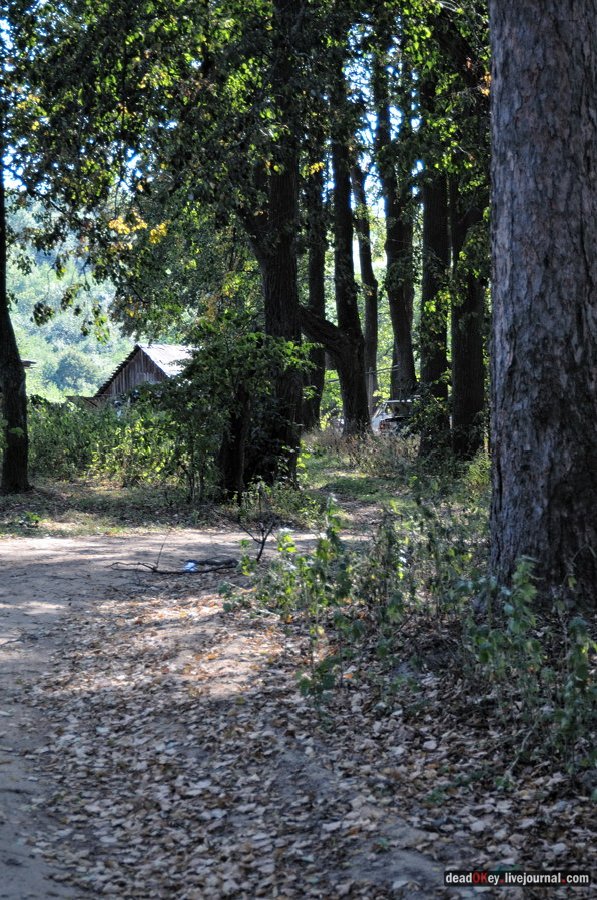 усадьба Муханово