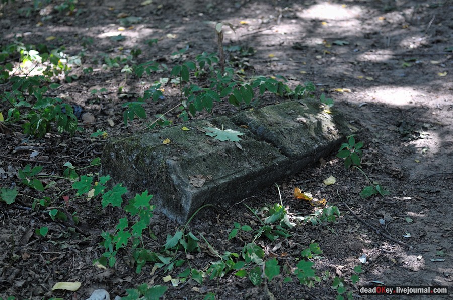 усадьба Опарино