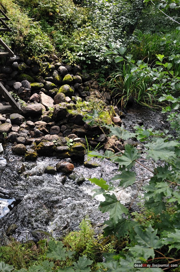 усадьба Верхоляне