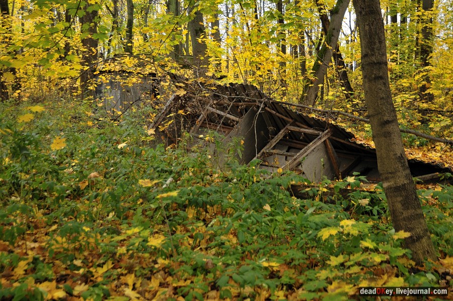 усадьба Жуково